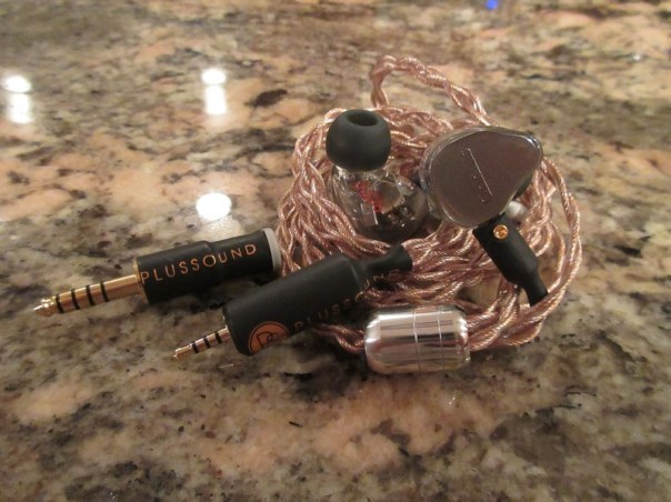 oriolus_mellianus-24