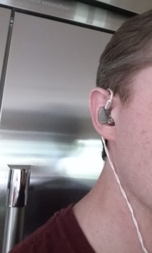 oriolus_mellianus-25