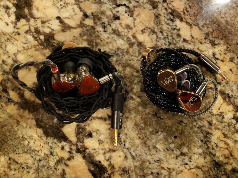 oriolus-traillii-27_vs_erl