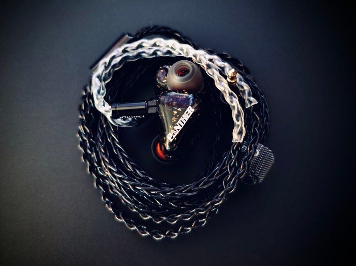 Panther Audio D2X Solo 1