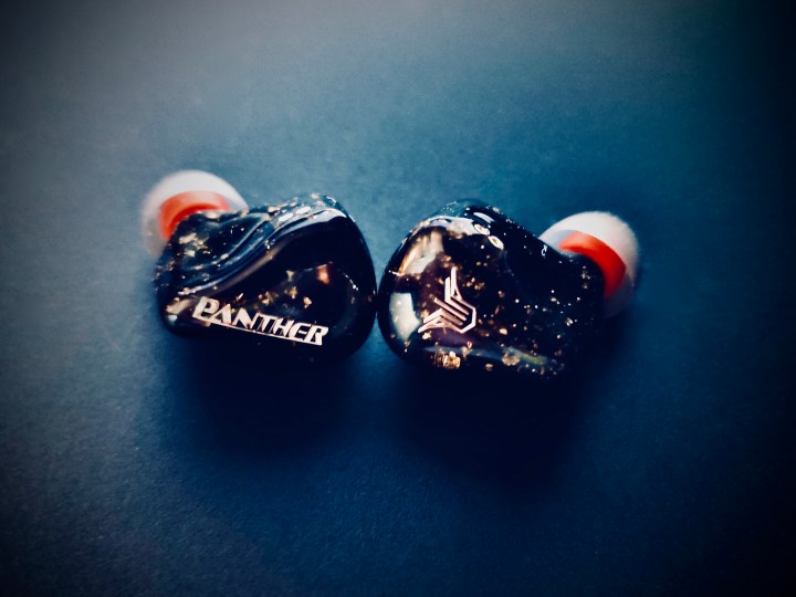 Panther Audio D2X Solo 2